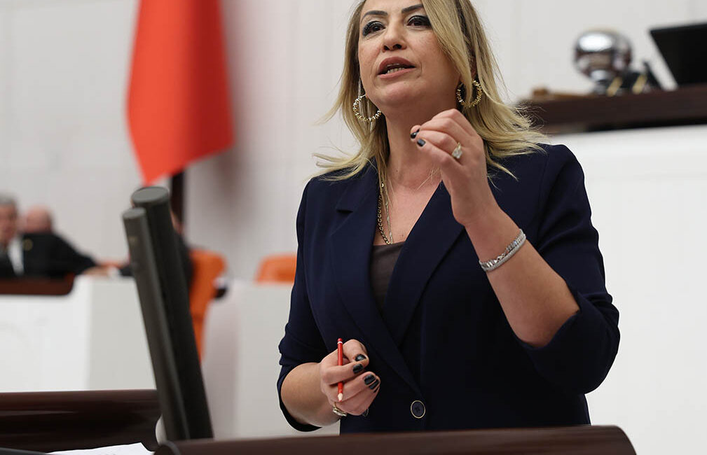 Cumhuriyet Halk Partisi Hatay Milletvekili Nermin Yıldırım Kara, tarım kredilerinin
