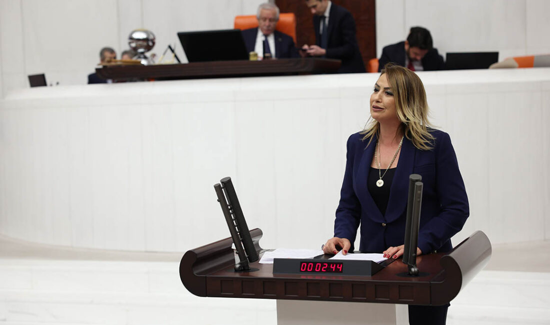 Cumhuriyet Halk Partisi Hatay Milletvekili Nermin Yıldırım Kara, eğitim sisteminin