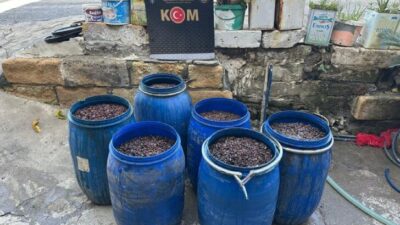 Hatay’ın Arsuz ilçesinde bir ikamette yapılan aramada plastik fıçılar içerisinde