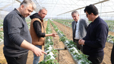 Hatay Büyükşehir Belediyesi (HBB), Hatay’da tarımın güçlenmesi ve üreticilerin bilinçli