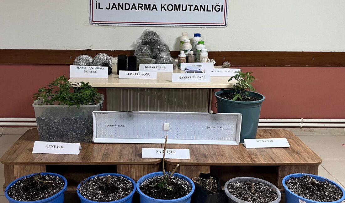 Jandarmadan Evinde Uyuşturucu Yetiştirenlere Baskın Hatay İl Jandarma Komutanlığı ekiplerince; 25.03.2026 tarihinde, İskenderun İlçesi’nde iki