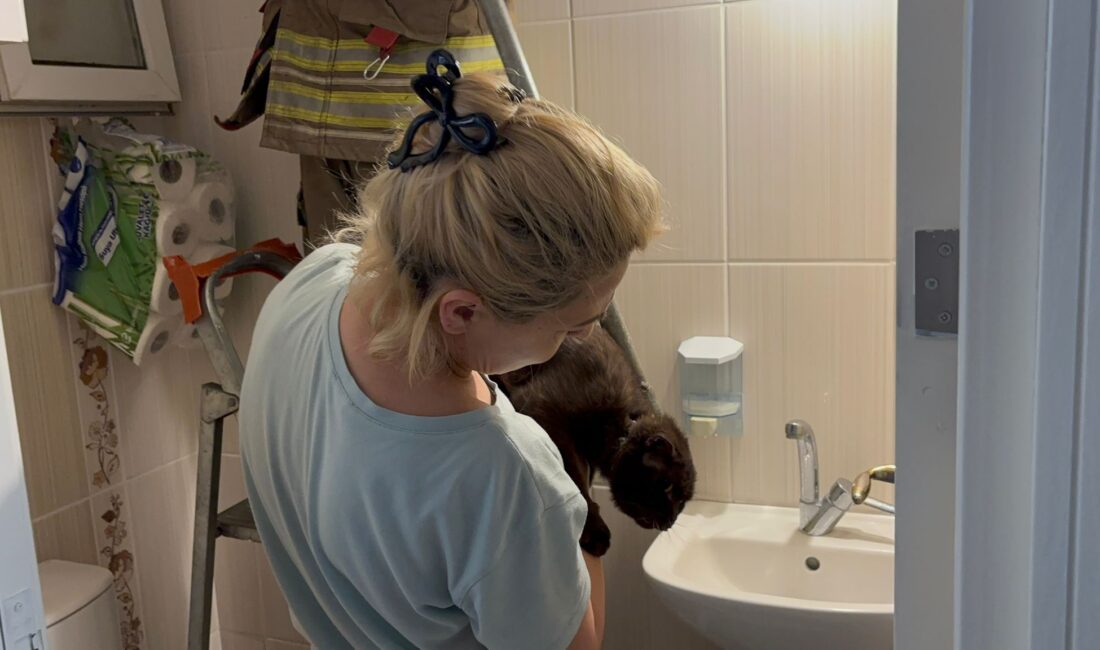 HAVALANDIRMA BOŞLUĞUNA DÜŞEN KEDİYİ İTFAİYE KURTARDI Hatay Büyükşehir Belediyesi İtfaiye Daire Başkanlığı ekipleri, İskenderun’un Kurtuluş Mahallesi