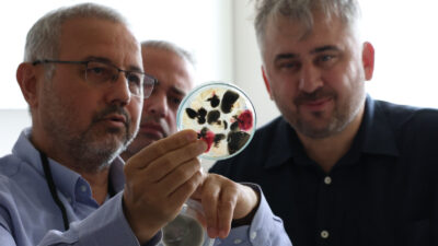 Hatay Büyükşehir Belediyesi (HBB) ile Hatay Mustafa Kemal Üniversitesi (HKMÜ)