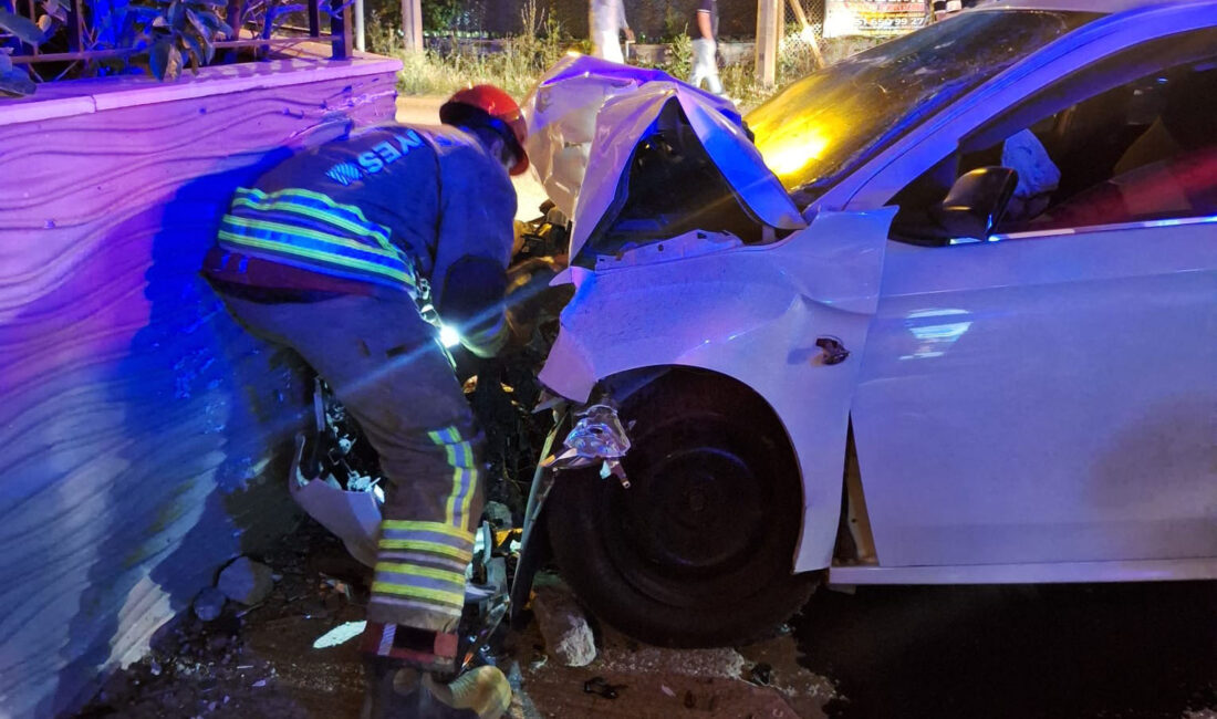 Hatay Büyükşehir Belediyesi İtfaiye Daire Başkanlığı ekipleri, Arsuz ilçesi Karaağaç