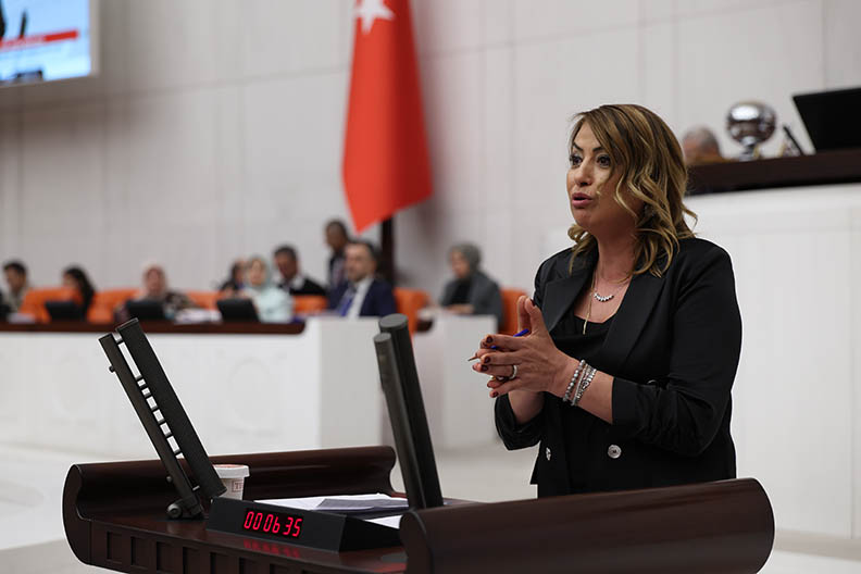CHP Hatay Milletvekili Nermin Yıldırım Kara, balıkçılık sektörünün sorunlarıyla ilgili