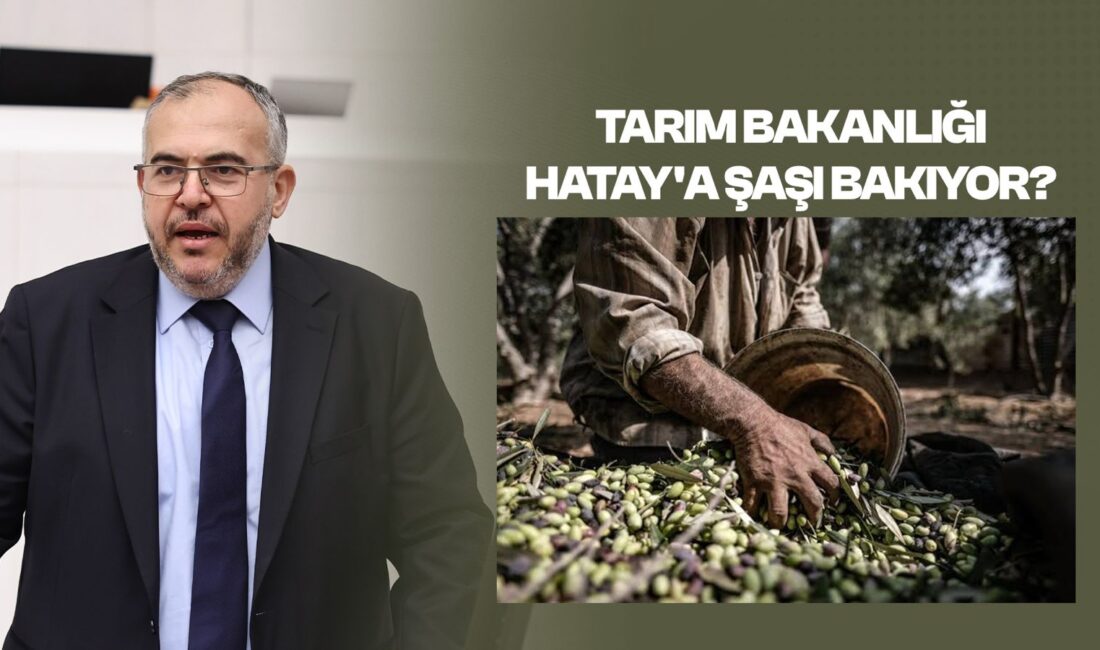 Saadet Partisi Hatay Milletvekili Doç. Dr. Necmettin Çalışkan, TBMM Genel