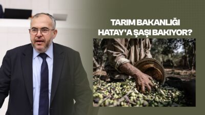Saadet Partisi Hatay Milletvekili Doç. Dr. Necmettin Çalışkan, TBMM Genel